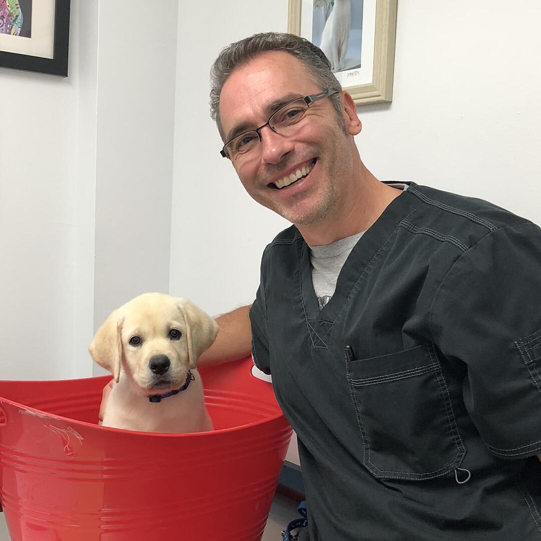 Dr Nunez With Puppy