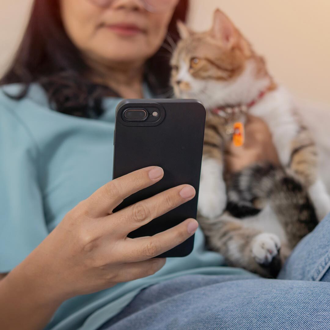 New Client Holding Cat And Using Phone